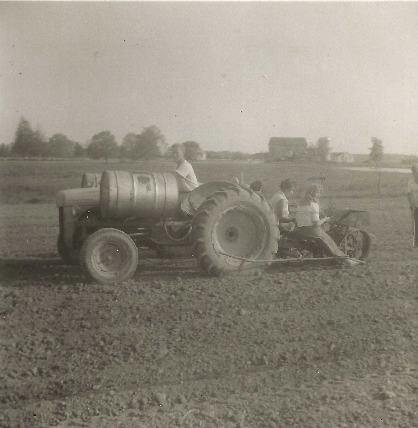 Planting Tomatoes on the Farm